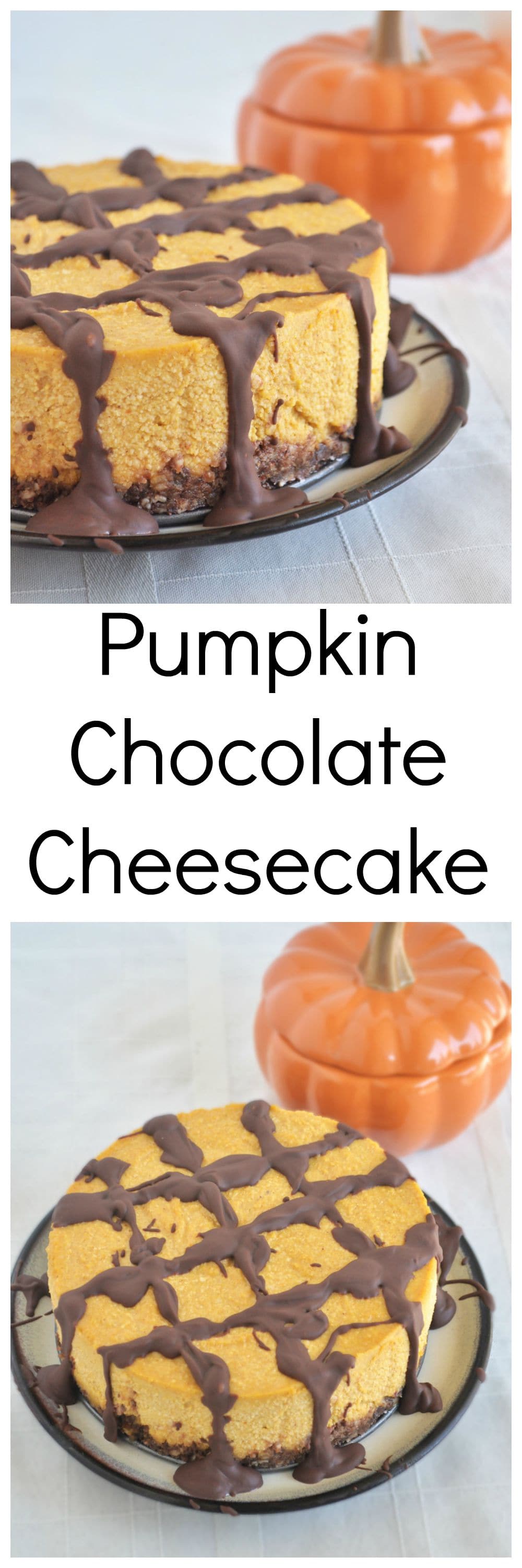 Pumpkin Chocolate Cheesecake P