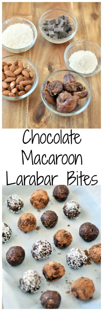 Copycat Chocolate Macaroon Larabar Bites